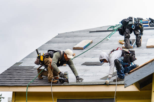 Professional Roofing technician working in Wheatland, IA